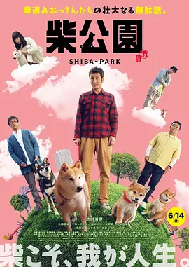 h片在线免费看