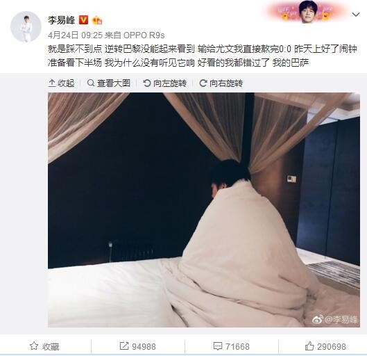 埃及猫原版动画网站进入哪里看