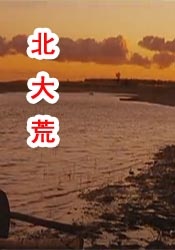 欧美激情视频一区二区